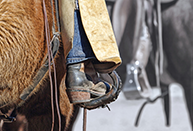 Cowboy boot in stirrups